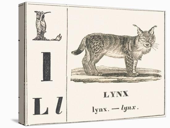 L for Lynx, 1850 (Engraving)-Louis Simon (1810-1870) Lassalle-Premier Image Canvas