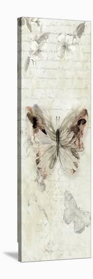 La Chanson du Papillon II-Carol Robinson-Stretched Canvas