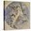 La Chimère-Gustave Moreau-Premier Image Canvas