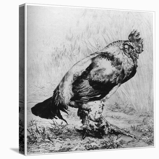 La Coq, C1850-1910-Felix Bracquemond-Premier Image Canvas