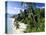 La Digue Island, Seychelles-Gavin Hellier-Premier Image Canvas