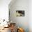 La Grande Odalisque-Jean-Auguste-Dominique Ingres-Premier Image Canvas displayed on a wall