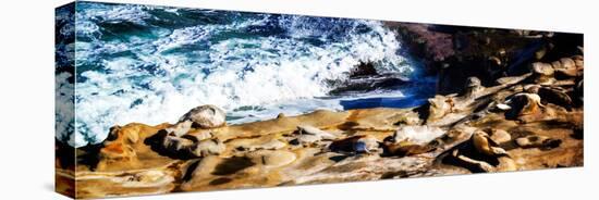 La Jolla Sea Lions II-Alan Hausenflock-Stretched Canvas