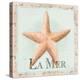 La Mer-Tiffany Hakimipour-Stretched Canvas
