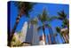 LA-Pershing Square Palm Tress-null-Stretched Canvas