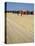 La Planche (Boadwalk) and Beach, Deauville, Calvados, Normandy, France-David Hughes-Premier Image Canvas