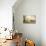 La prairie-Paulus Potter-Premier Image Canvas displayed on a wall