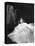 La Valse dans l'ombre WATERLOO BRIDGE by Mervin Leroy with Vivien Leigh, 1940 (b/w photo)-null-Stretched Canvas