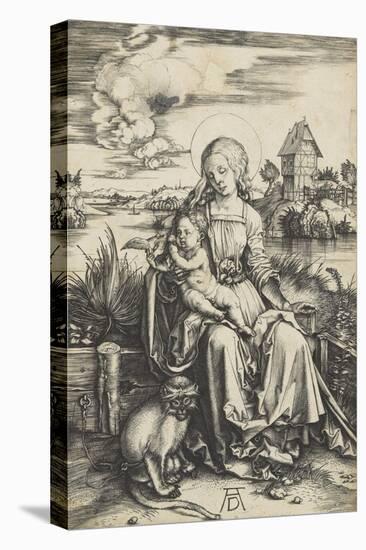 La Vierge à l'Enfant au macaque-Albrecht Dürer-Premier Image Canvas