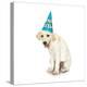 Lab Puppy Wearing Birthday Hat-Lew Robertson-Premier Image Canvas