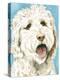 Labradoodle II-Grace Popp-Stretched Canvas