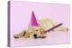 Labrador (8 Week Old Pup) with Party Hat-null-Premier Image Canvas