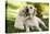 Labrador Adult with Puppy-null-Premier Image Canvas