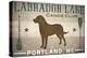 Labrador Lake Chocolate Lab-Ryan Fowler-Stretched Canvas