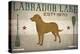 Labrador Lake Yellow Lab-Ryan Fowler-Stretched Canvas