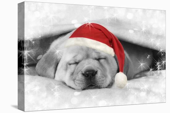 Labrador Puppy Lying under a Blanket Wearing a Christmas Hat-null-Premier Image Canvas