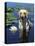 Labrador Retriever Dog in Lake, Illinois, USA-Lynn M. Stone-Premier Image Canvas