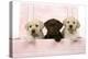 Labrador Retriever Puppies in a Wooden Box-null-Premier Image Canvas