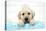 Labrador Retriever Puppy with in Bath with Soap Bubbles-null-Premier Image Canvas