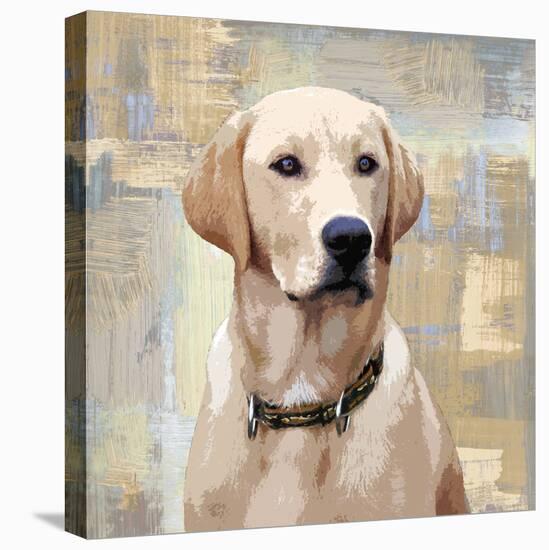 Labrador Retriever-Keri Rodgers-Stretched Canvas