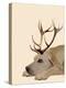 Labrador with Antlers-Fab Funky-Stretched Canvas