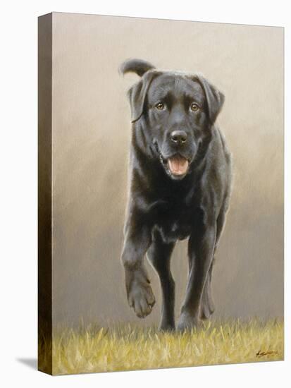 Labrador-John Silver-Premier Image Canvas