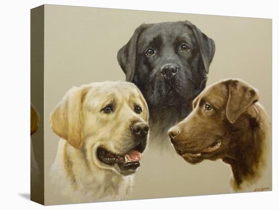 Labrador-John Silver-Premier Image Canvas