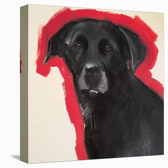 Labrador-Sally Muir-Premier Image Canvas