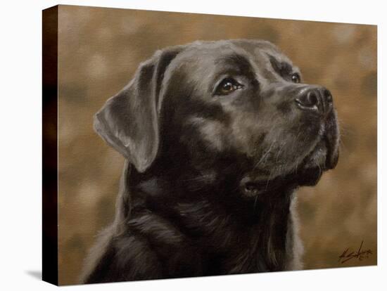 Labrador-John Silver-Premier Image Canvas