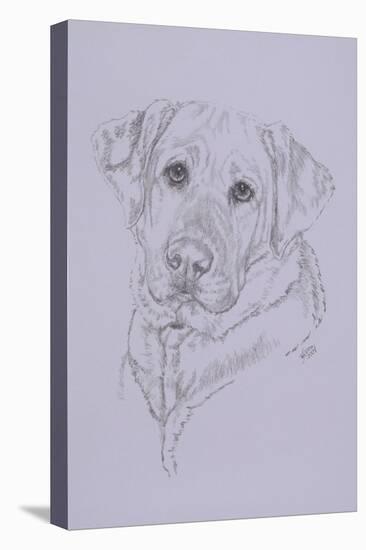 Labrador-Barbara Keith-Premier Image Canvas