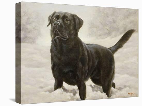 Labrador-John Silver-Premier Image Canvas