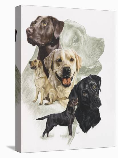 Labrador-Barbara Keith-Premier Image Canvas