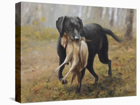 Labrador-John Silver-Premier Image Canvas