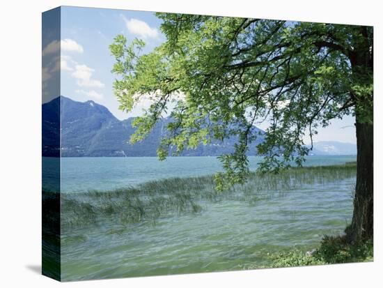 Lac Du Bourget, Near Aix Les Bains, Rhone Alpes, France-Michael Busselle-Premier Image Canvas