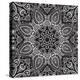 Lace Background: White on Black, Mandala-Katyau-Stretched Canvas