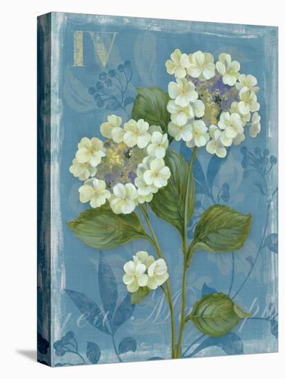 Lace Hydrangea-Pamela Gladding-Stretched Canvas