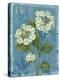 Lace Hydrangea-Pamela Gladding-Stretched Canvas