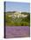 Lacoste and Lavender Fields, Luberon, Vaucluse Provence, France-Doug Pearson-Premier Image Canvas