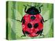 Lady Bug-Teofilo Olivieri-Premier Image Canvas