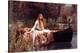 Lady of Shalott-John William Waterhouse-Stretched Canvas