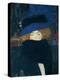 Lady with a Hat and a Feather Boa-Gustav Klimt-Premier Image Canvas