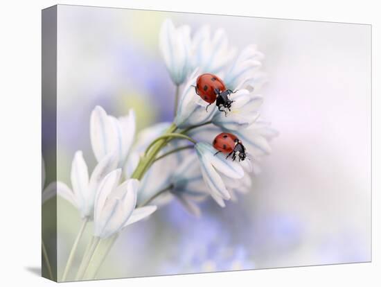 Ladybirds-Ellen Van Deelen-Premier Image Canvas