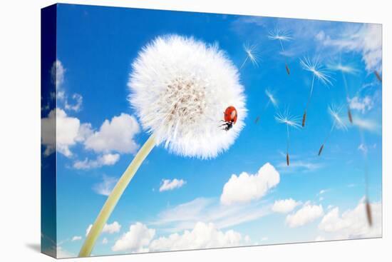 Ladybug On A Dandelion On A Background Of The Sky-Miramiska-Premier Image Canvas