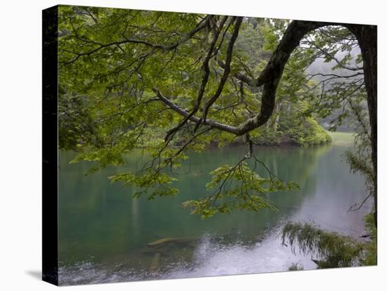 Lago Chico, Huerquehue National Park, Chile-Scott T. Smith-Premier Image Canvas