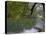 Lago Chico, Huerquehue National Park, Chile-Scott T. Smith-Premier Image Canvas