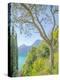 Lago di Como View No. 2-Brooke T. Ryan-Premier Image Canvas