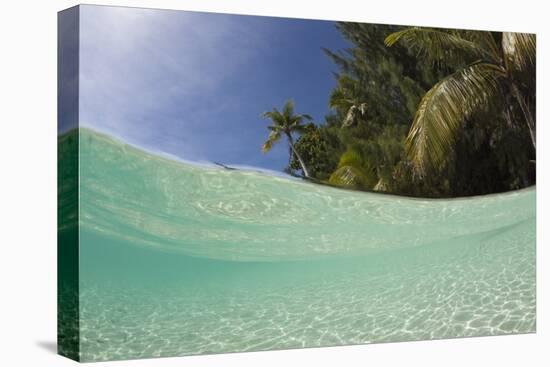 Lagoon and Palm-Lined Beach, Micronesia, Palau-Reinhard Dirscherl-Premier Image Canvas