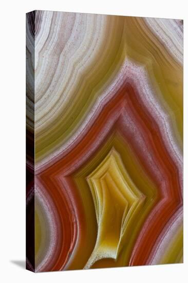 Laguna Agate, Mexico-Darrell Gulin-Premier Image Canvas