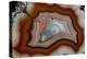 Laguna Agate, Mexico-Darrell Gulin-Premier Image Canvas