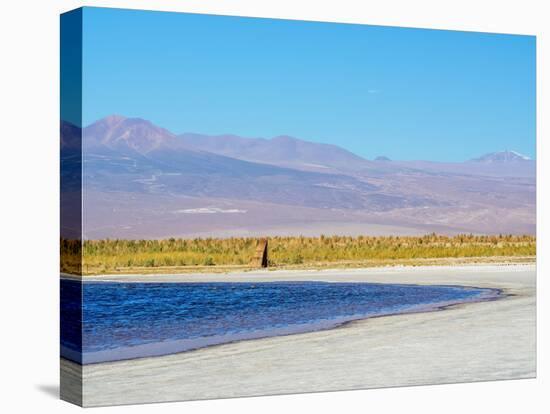 Laguna Baltinache, Salar de Atacama, Antofagasta Region, Chile, South America-Karol Kozlowski-Premier Image Canvas